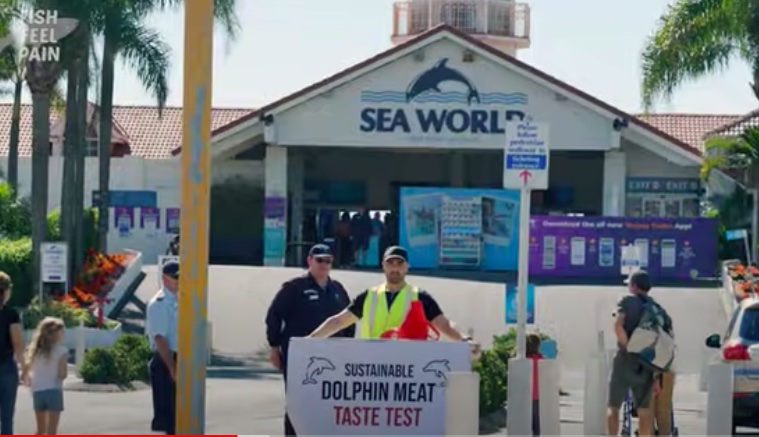 dolphin meat sea world