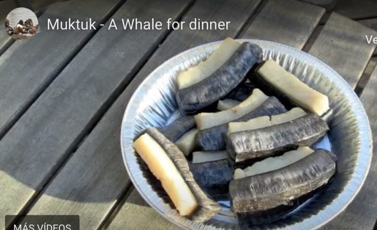 Eating whale meat or Muktuk, how to cook it parboiled - Dolphin and ...